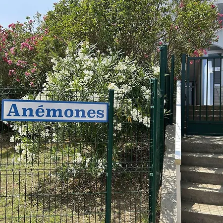 4 Pers Avec Piscine, Terrasse, Proche Commodites - Grau-du-roi - Fr-1-250-140 شقة لو غراو دو روا